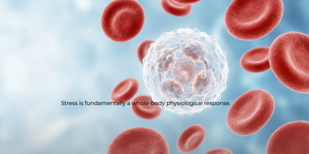 Energy is generated at the cellular level, primarily within mitochondria.
