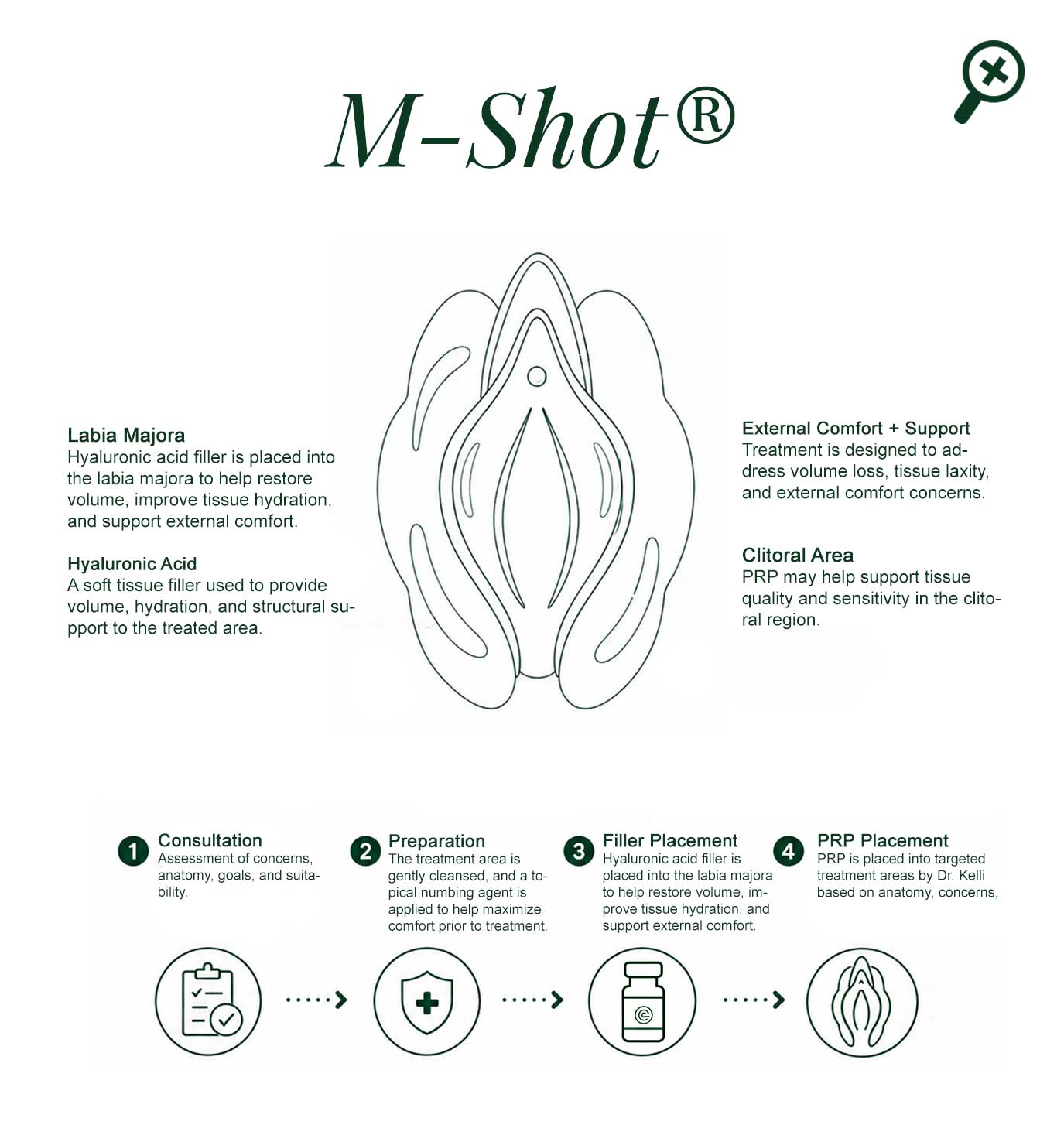 M-Shot+